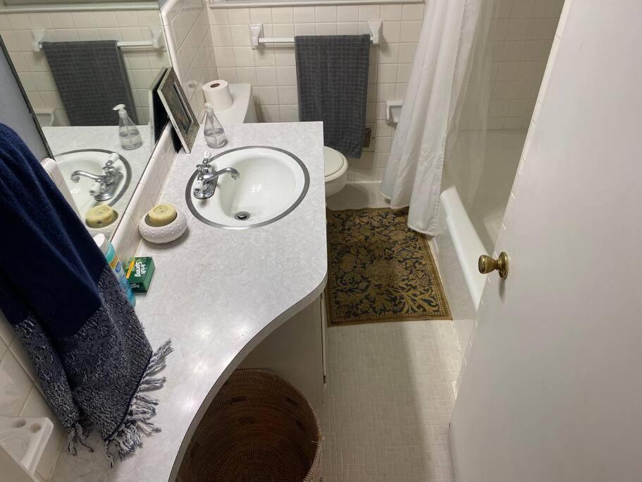 Whole House In Athens, Private, Fenced, Convenient, Close To Downtown 외부 사진