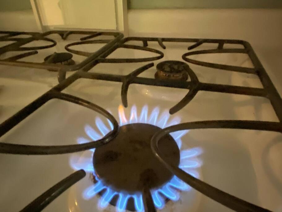 Whole House In Athens, Private, Fenced, Convenient, Close To Downtown 외부 사진